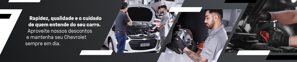 Rapidez, qualidade de quem entende do seu carro