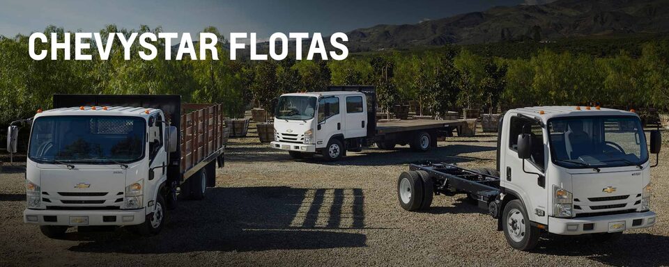Chevrolet - Chevystar Flotas