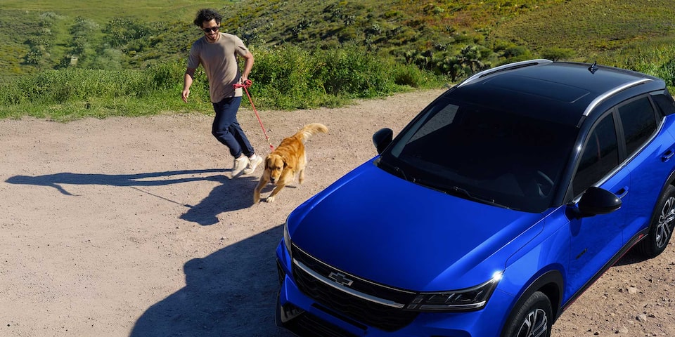 Chevrolet Groove estacionada sobre la cima de un mirador, vista desde arriba, junto a un hombre y su perro corriendo a un costado. 