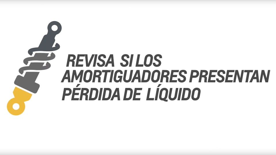 13-los-amortiguadores