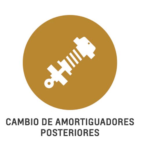 Chevrolet Ecuador Amortiguadores Posteriores
