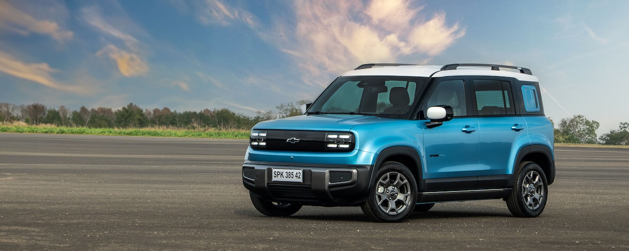 Spark EUV estacionado con vegetación de fondo.